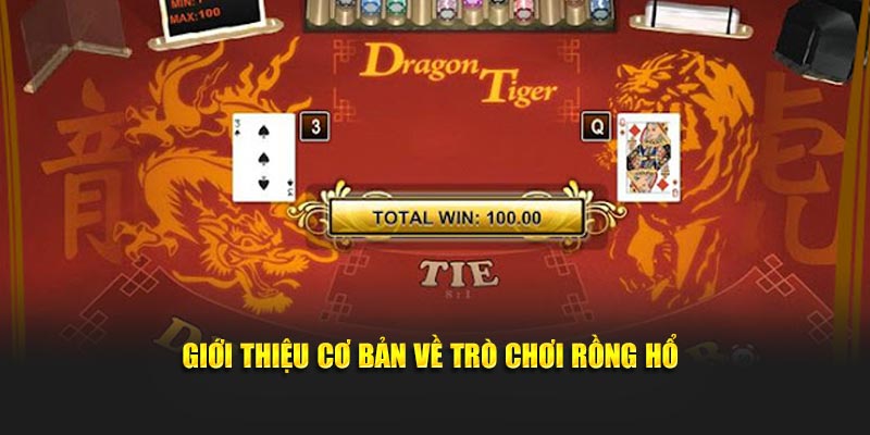 Giới thiệu cơ bản về trò chơi Rồng Hổ